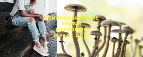 бутират Горно-Алтайск
