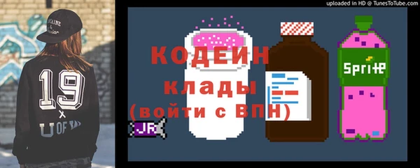 ГАЛЛЮЦИНОГЕННЫЕ ГРИБЫ Горняк
