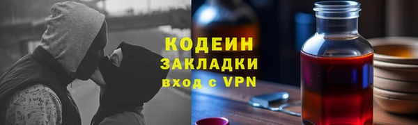 ГАЛЛЮЦИНОГЕННЫЕ ГРИБЫ Горняк
