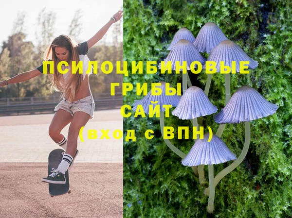 ГАЛЛЮЦИНОГЕННЫЕ ГРИБЫ Горняк