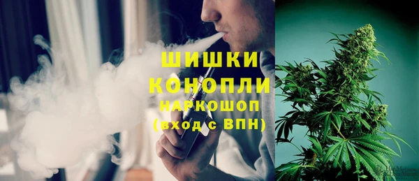 ГАЛЛЮЦИНОГЕННЫЕ ГРИБЫ Горняк
