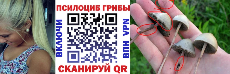 Купить закладки  Певек  Псилоцибиновые грибы MAGIC MUSHROOMS 